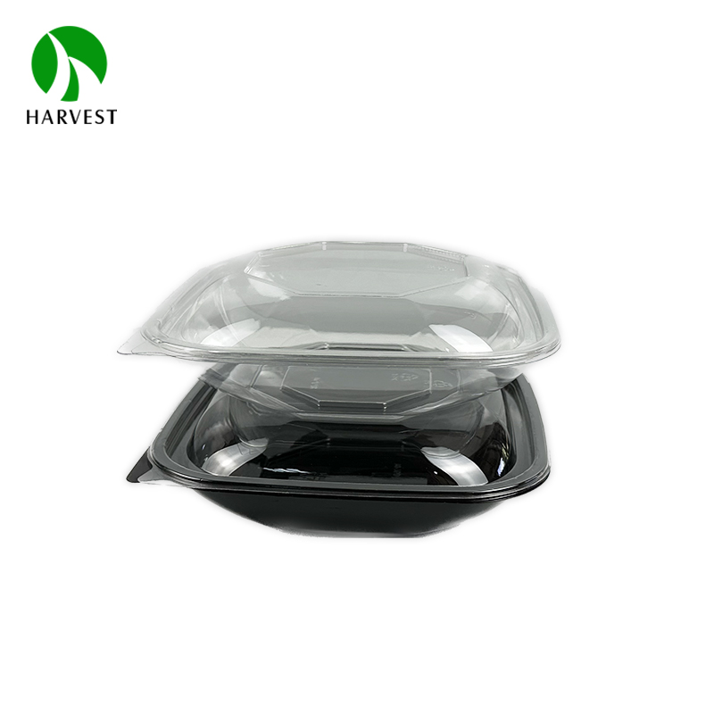 Rectangle Disposable Plastic Salad Container 3