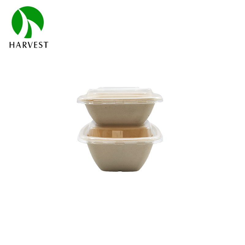 CS Bowl Series - 5 Inch Small Square Pulp Food Bowl