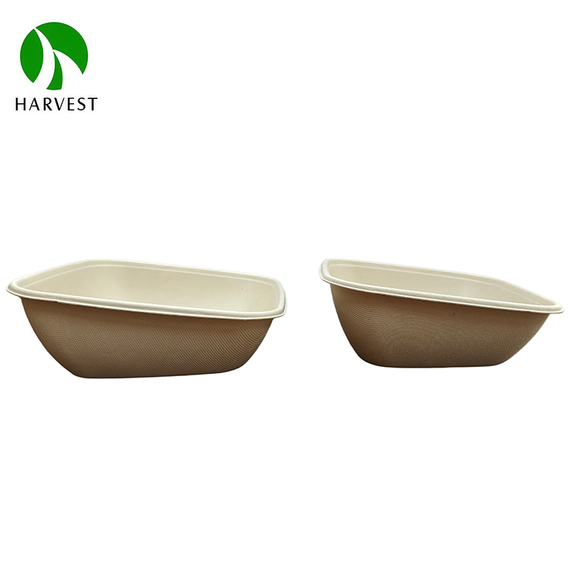 Bagasse Salad Bowl With Lid 1