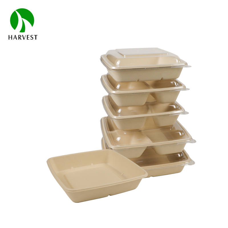 CS Box Series- Square Compartment Takeaway Container