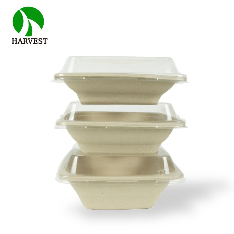 7 Inch Square Biodegradable Salad Container - Eco-Friendly Food Packaging from China Suppliers and Factory