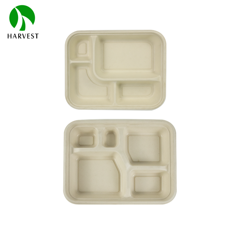 CJ Series-Compartment Takeaway Lunch Bento Box