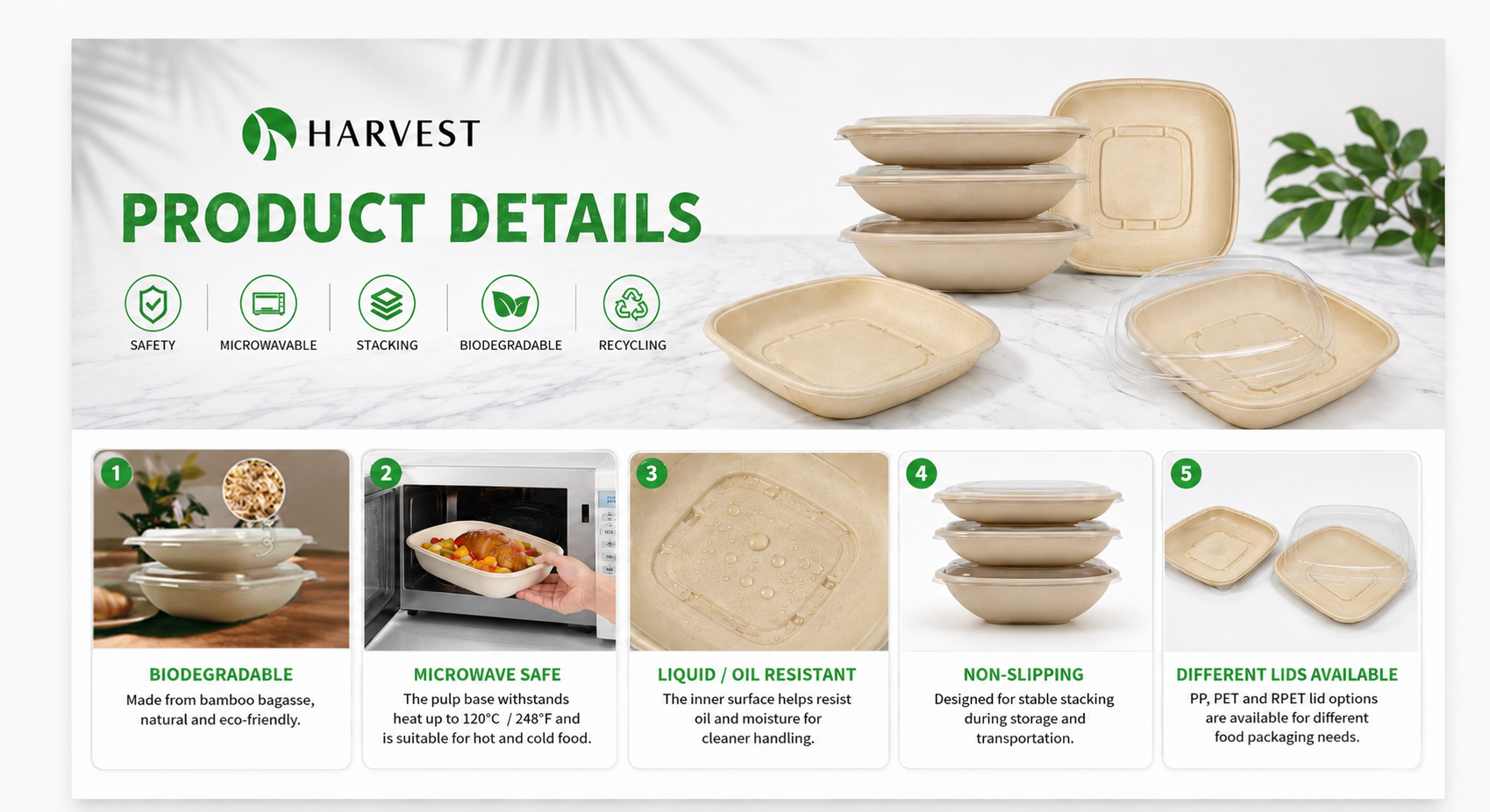 8-5x8-5-food-packaging-square-pulp-container-detail