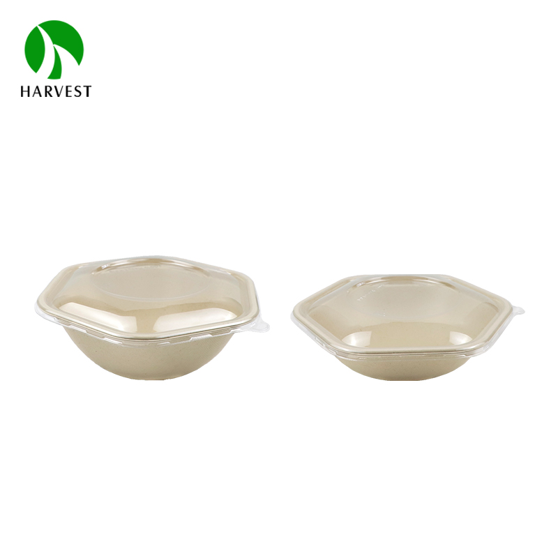 Biodegradable Food Container Hexagon Food Container.jpg