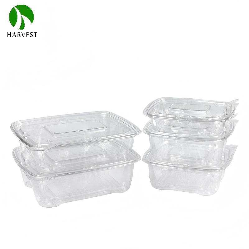 HV Series- Disposable PET Salad Containers 