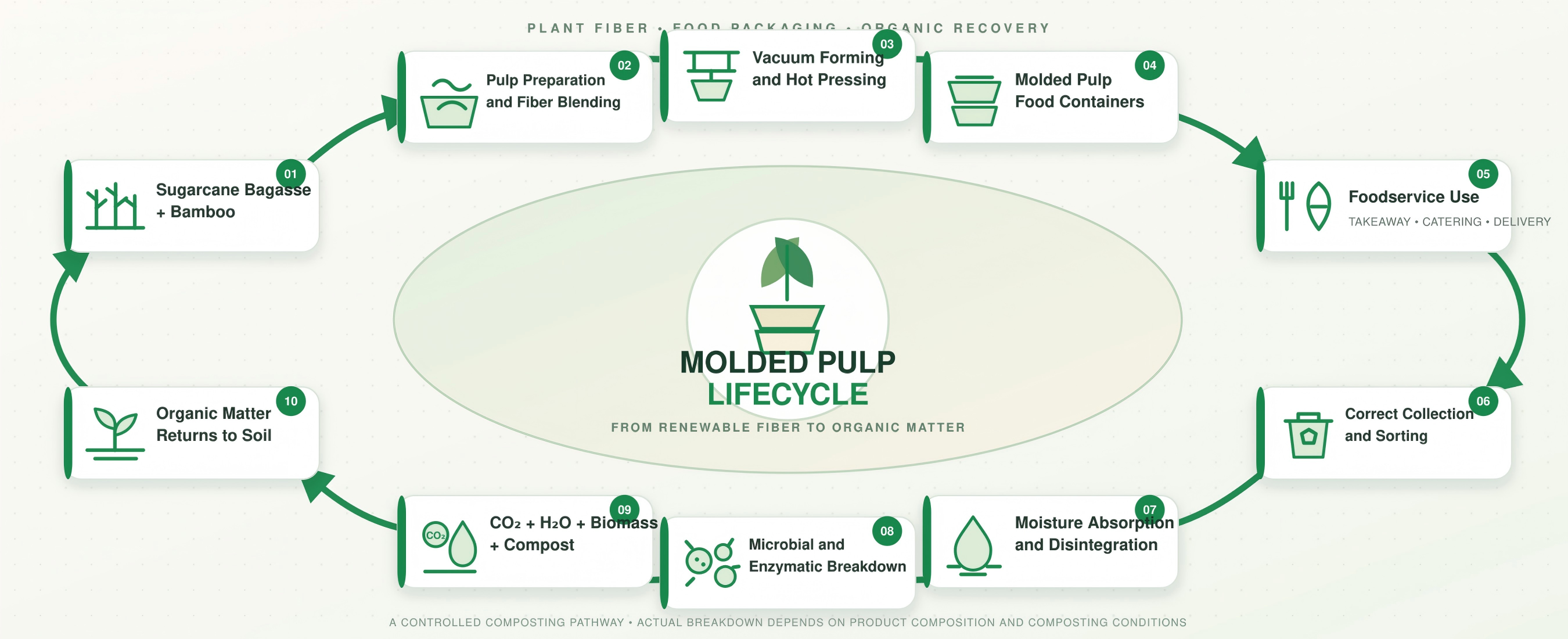 Fiber Pulp Food Containers: From Fiber to Soil