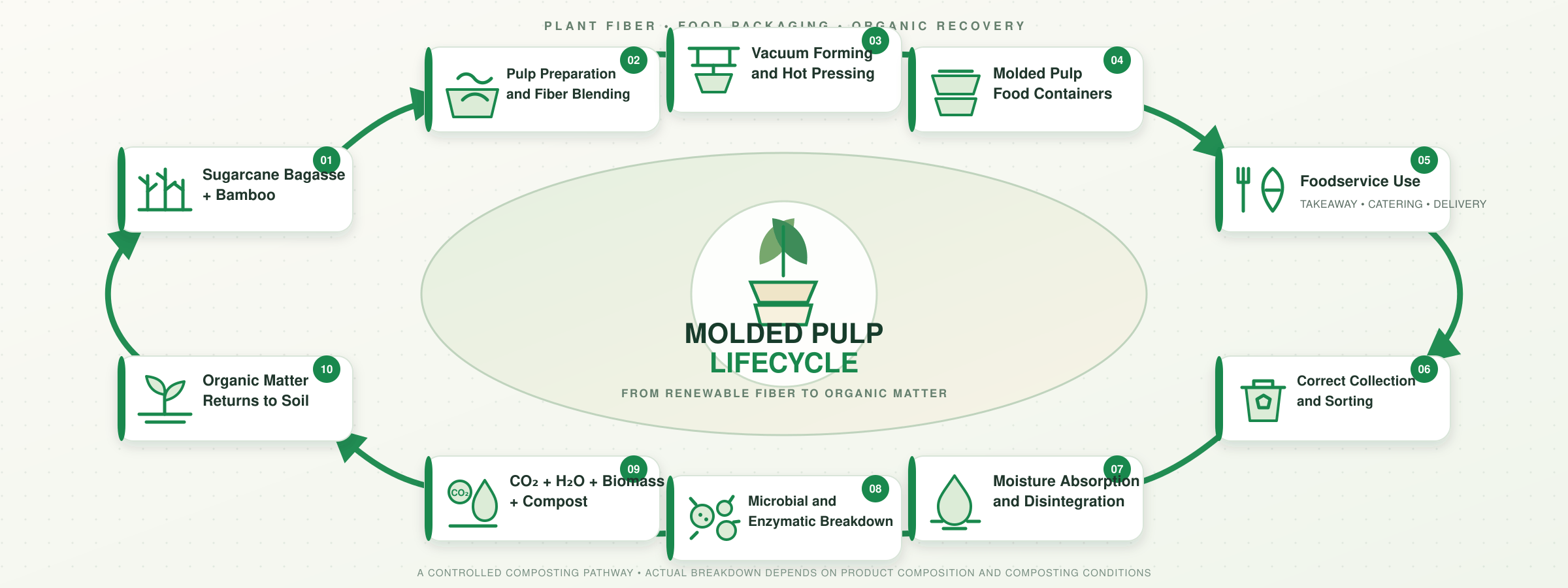 molded_pulp_lifecycle_infographic.png