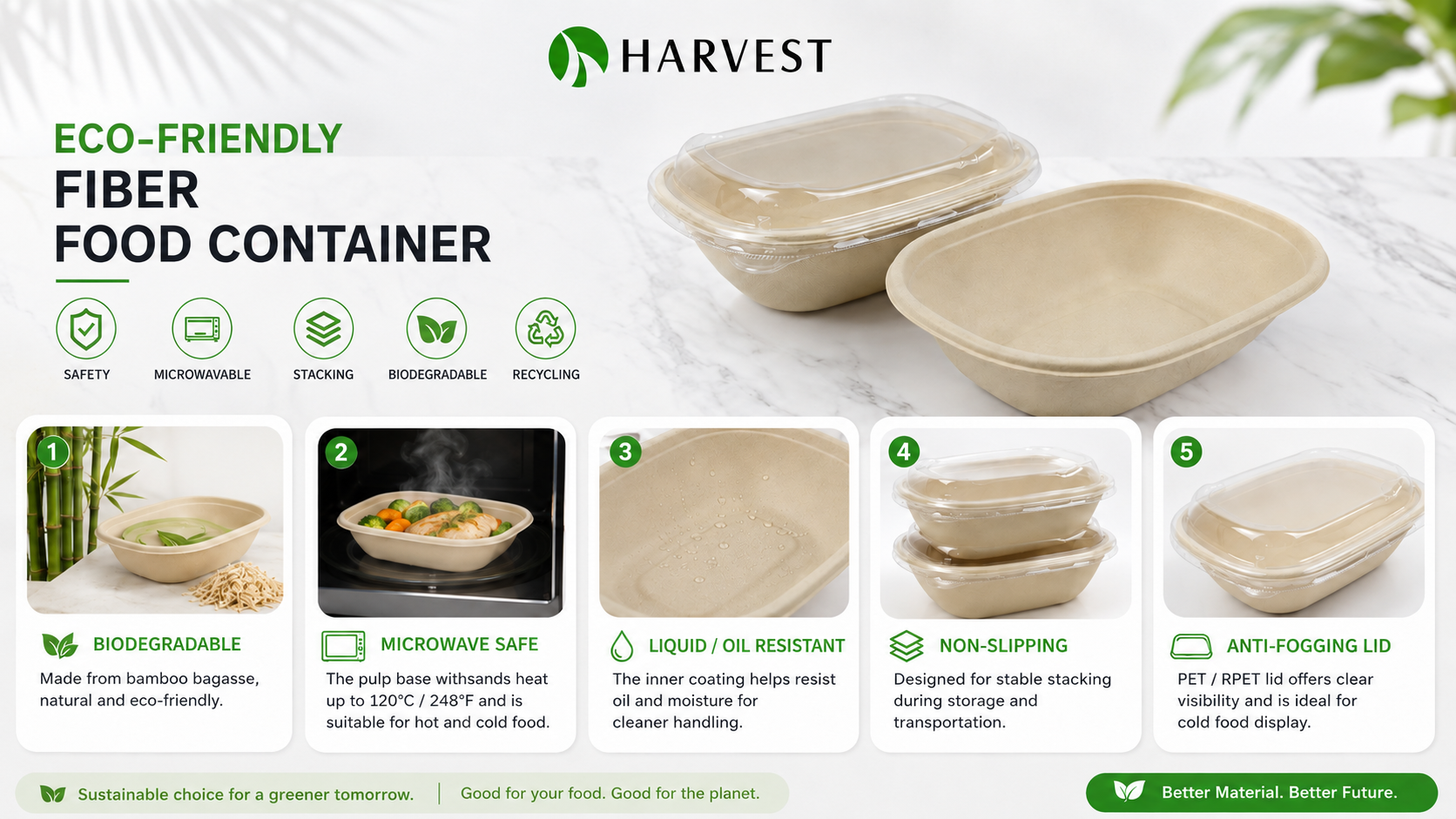 oval-bagasse-food-container-detail