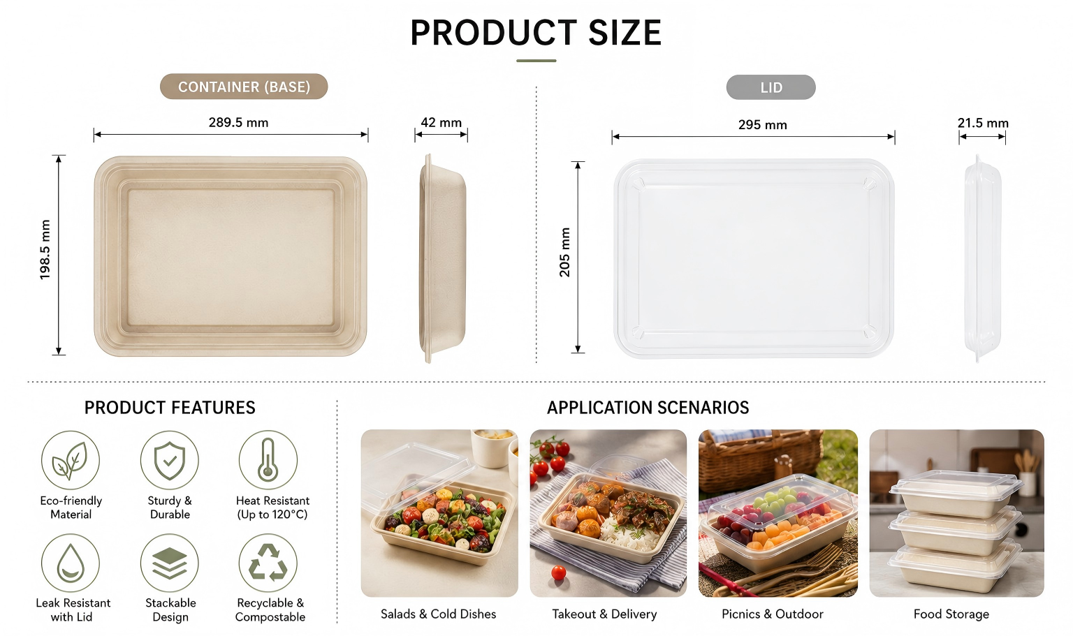 Rectangle Pulp Food Container