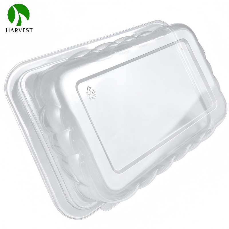 Recyclable PET 2 Layer Salad Box (2).png