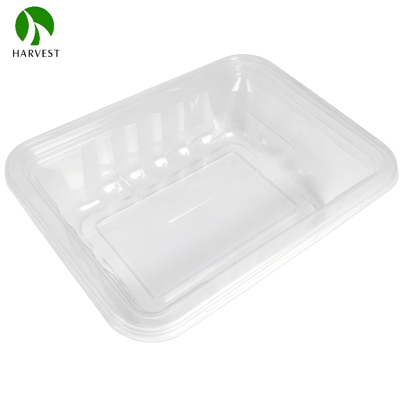 Recyclable PET 2 Layer Salad Box (3).png