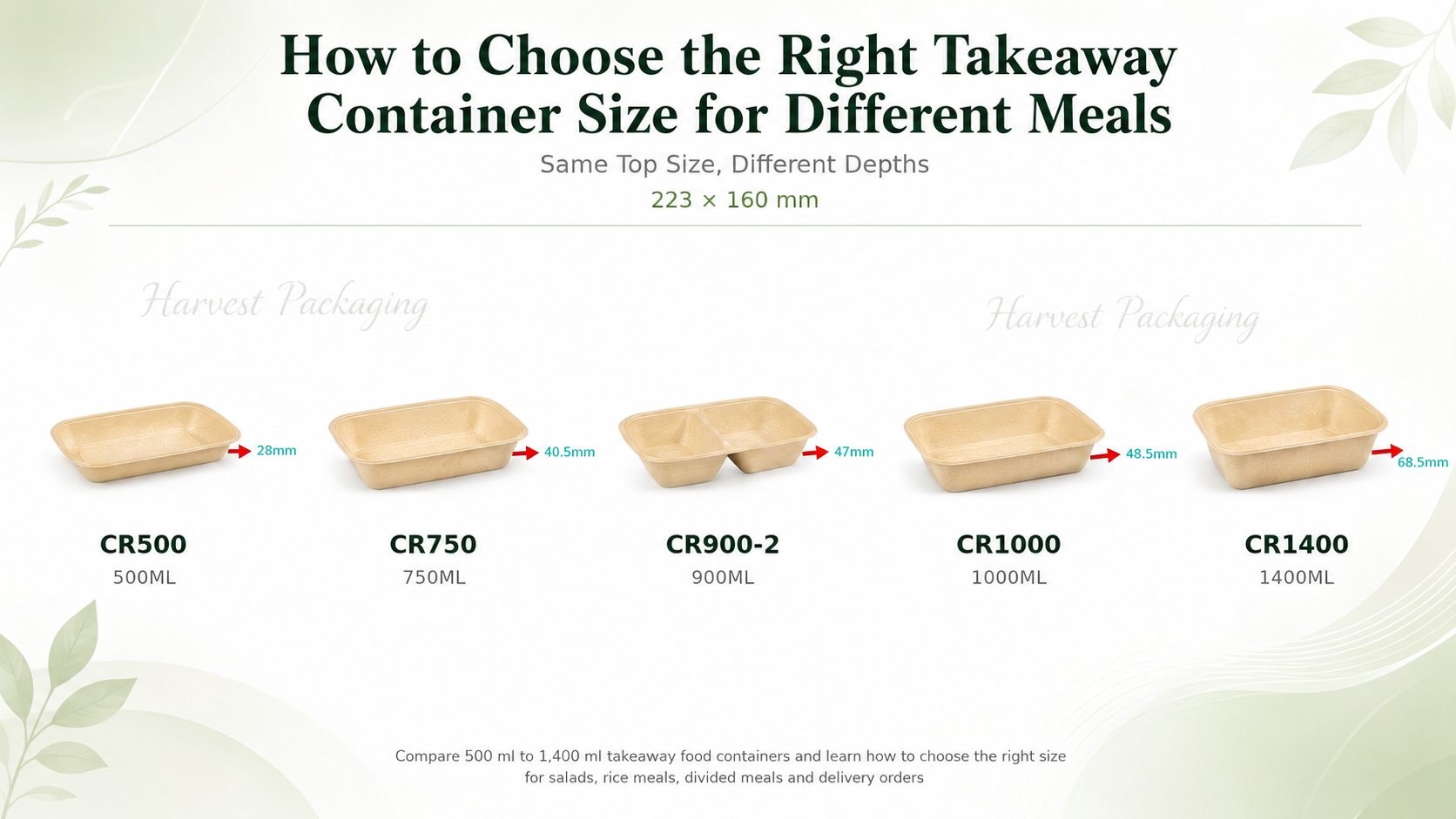How to Choose the Right Takeaway Container Size for Different Meals