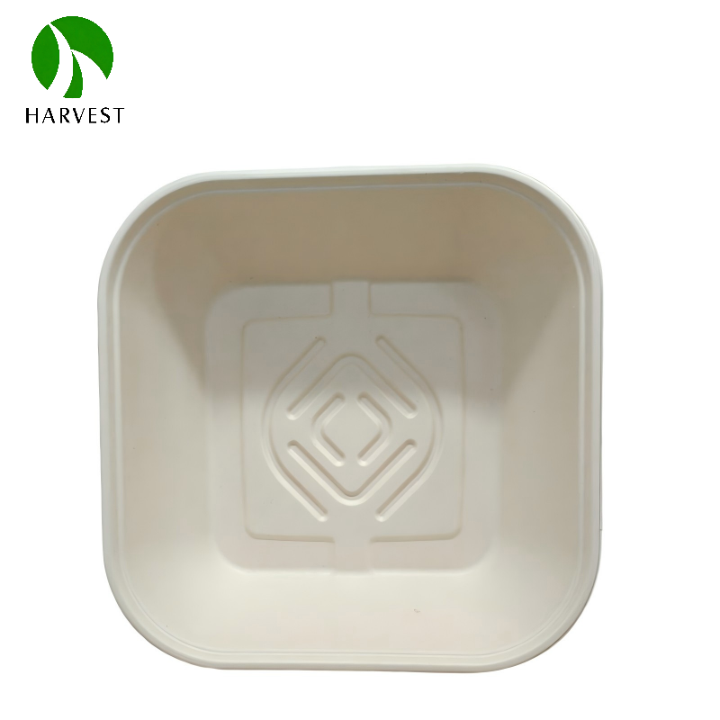 CCS Series- Large Square Bagasse Food Containers with PET Lids