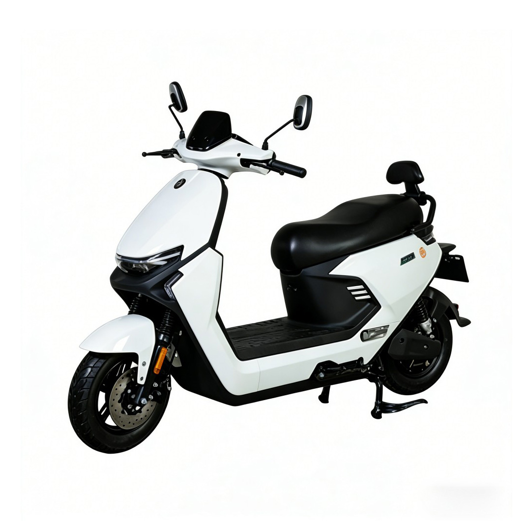 Trottinette électrique ODF-114 (BYG) 1200 W | Vitesse maximale de 55 km/h | Trottinette performante et polyvalente, supportant une charge de 500 kg, idéale pour les trajets domicile-travail et les livraisons légères