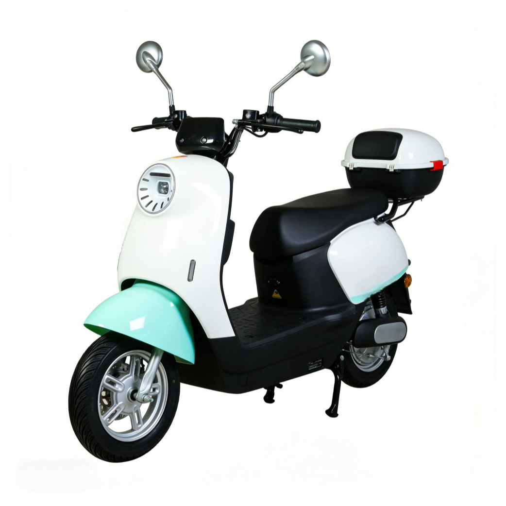 ODF-133 (XJG) 1000W Cute Turtle-Style Electric Scooter | 50km/h Retro Classic Commuter with 500kg Load, Factory Rear Box & Timeless Appeal