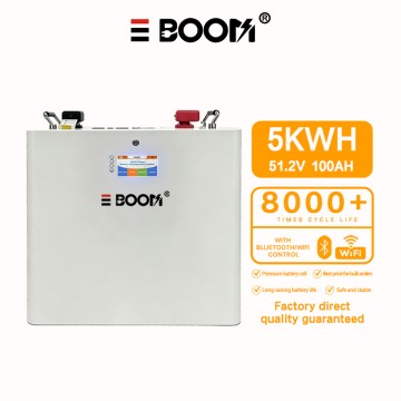 Customizable 5KWh Wall Mounted LiFePO4 Home Energy Storage System, 51.2V 100Ah Solar Backup Power Battery, durable lithium iron phosphate battery for household solar power supply, emergency power rese