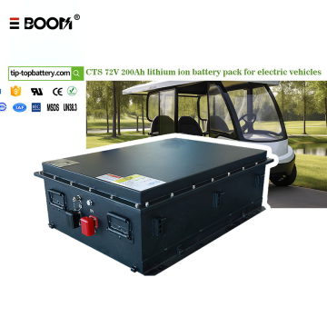 Custom LiFePO4 Battery Pack for 2 Wheel & 3 Wheel Electric Vehicle, Golf Cart, Support Custom Voltage, Capacity, Appearance & Logo, Over 8000 Cycles Lithium Iron Phosphate Battery