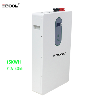 Wall Mount Lithium Iron Phosphate Battery 51.2V 100Ah Built-in BMS Bluetooth WiFi Monitoring Home Office Off-Grid Energy Storage Battery Pack