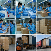 Packaging and Shipment