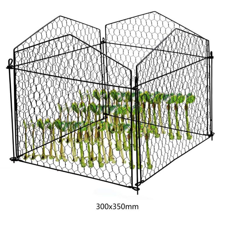Plant Cover and Plant Protectors