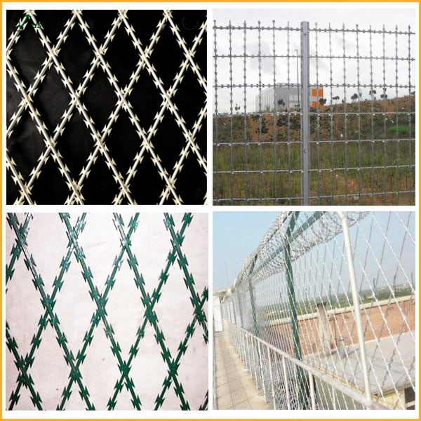 Razor wire fence