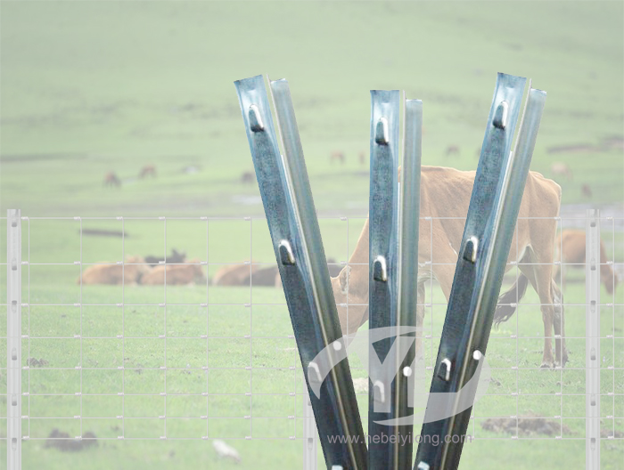 Pre hot dip galvanized Z post Field fence set 