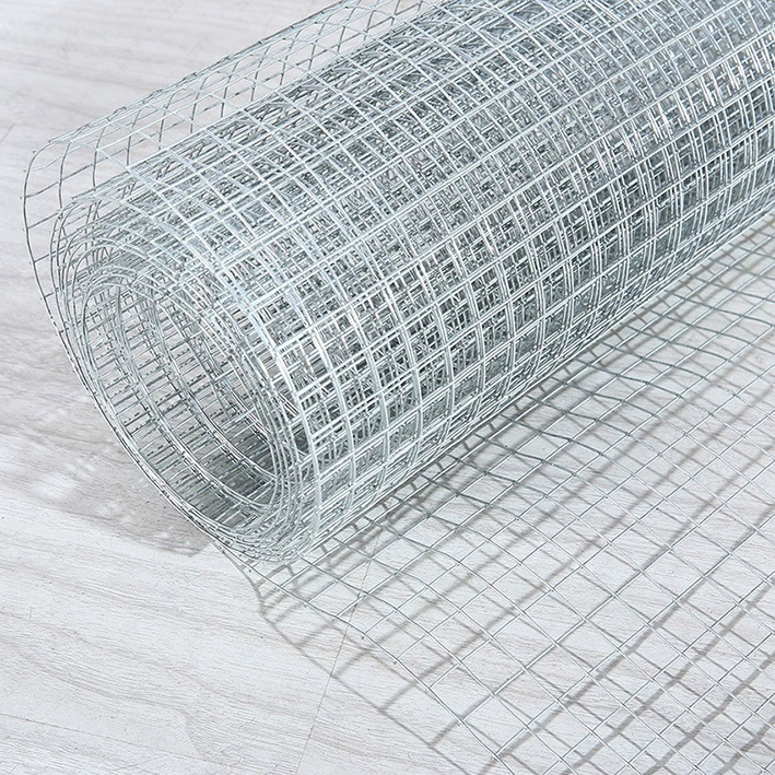 Galvanized Welded Wire Mesh