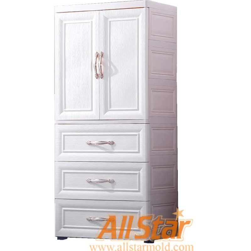 Plastic Cabinet Storage Mold Tool