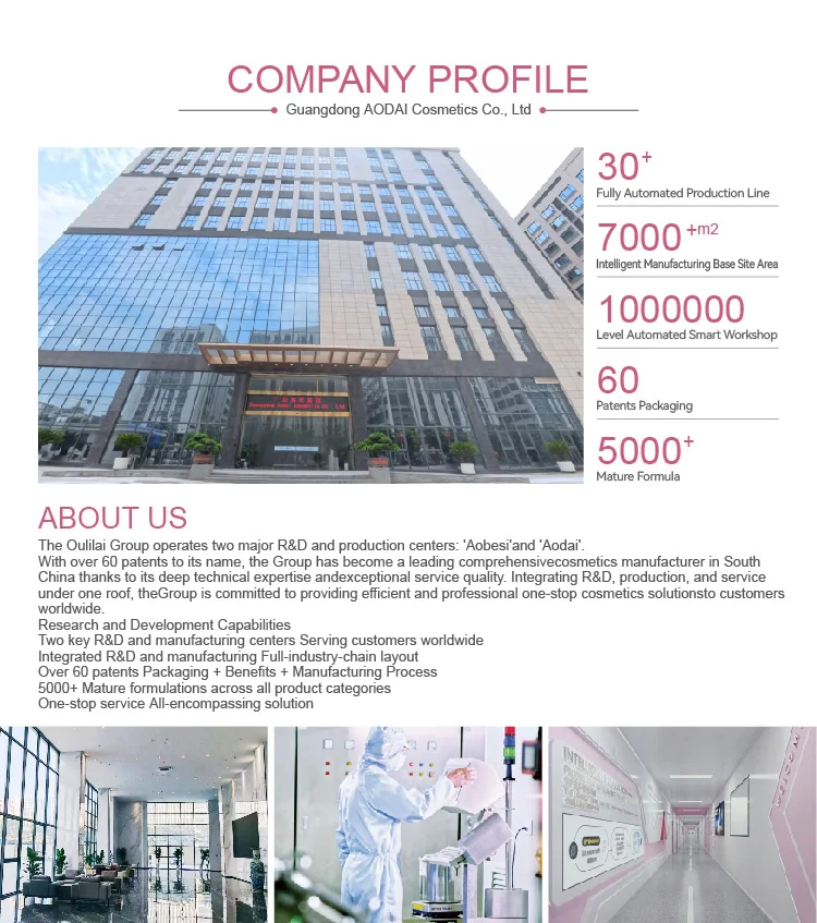 Company Overview 1