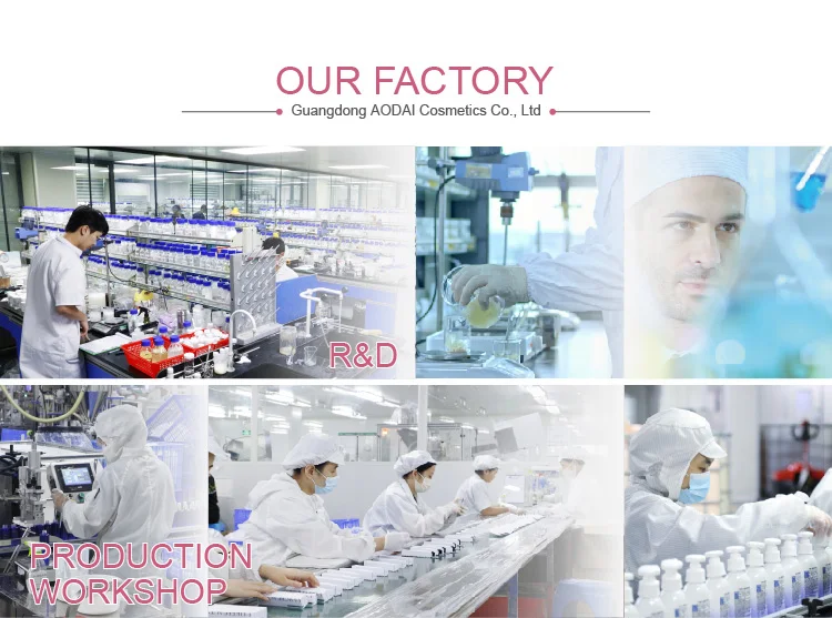 Company Overview 2