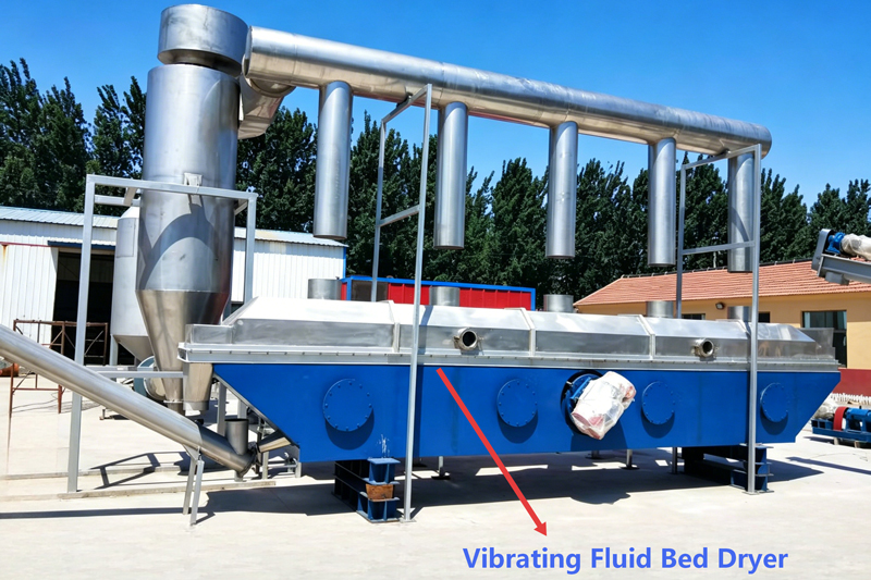 Process Steps & Core Functions of Vibrating Fluid Bed Dryer in Salt Washing