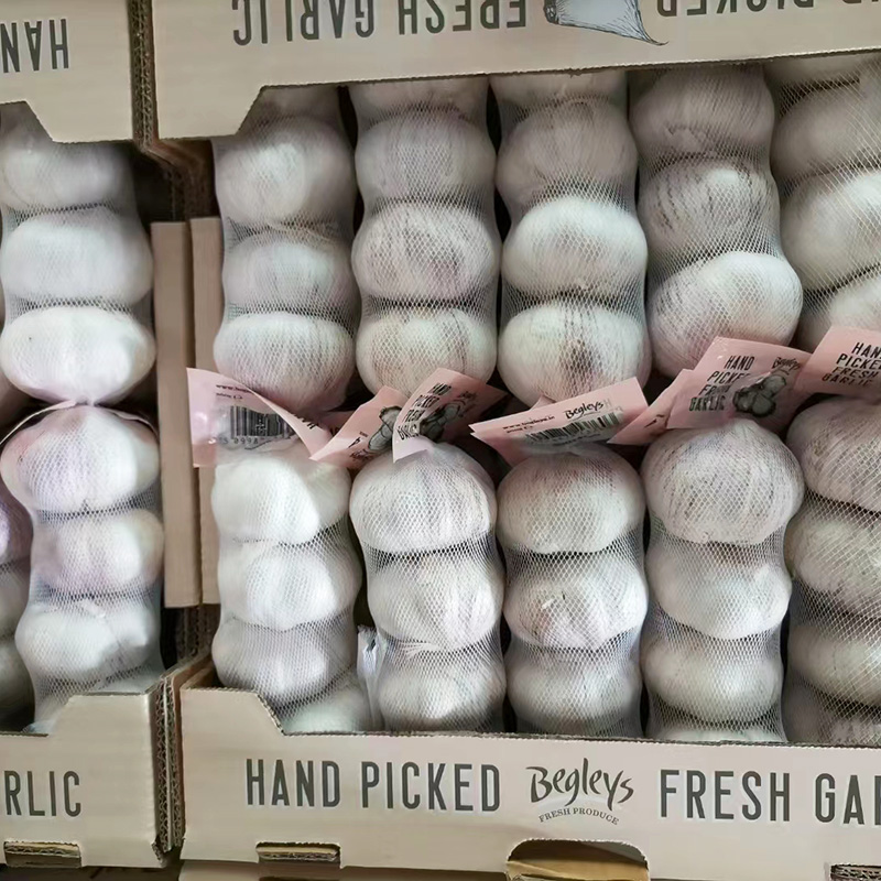 hand peeled fresh garlicfhy