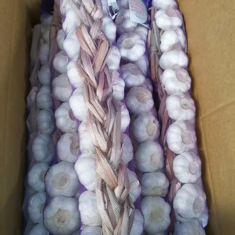 braid fresh garlic9d8