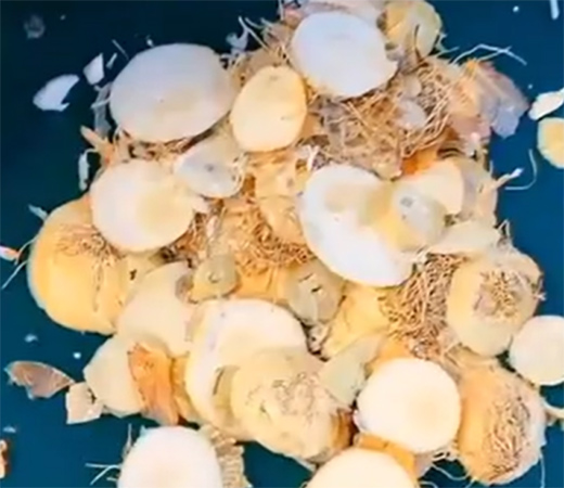 Dehydrated-onion-supplier-from-China314bt