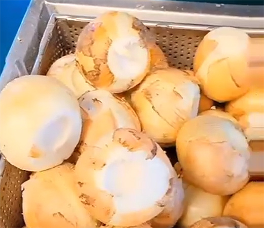 Dehydrated-onion-supplier-from-China32g2a