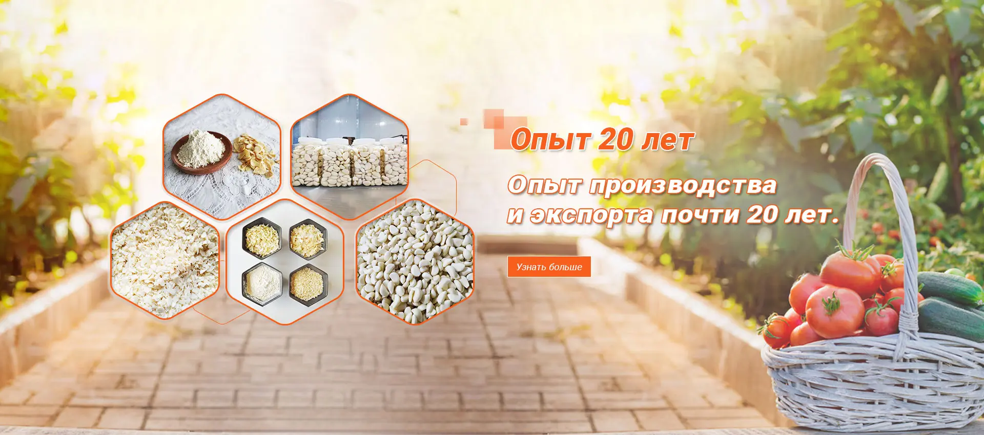Порошок Сушеного Имбиря