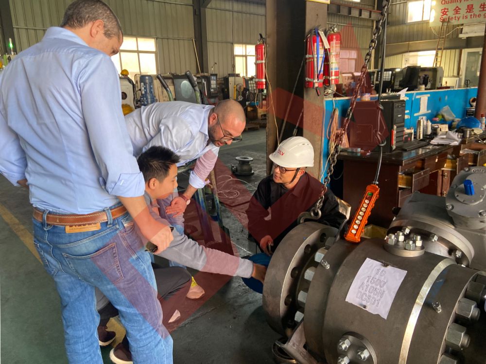 Customer inspection (1)tmc