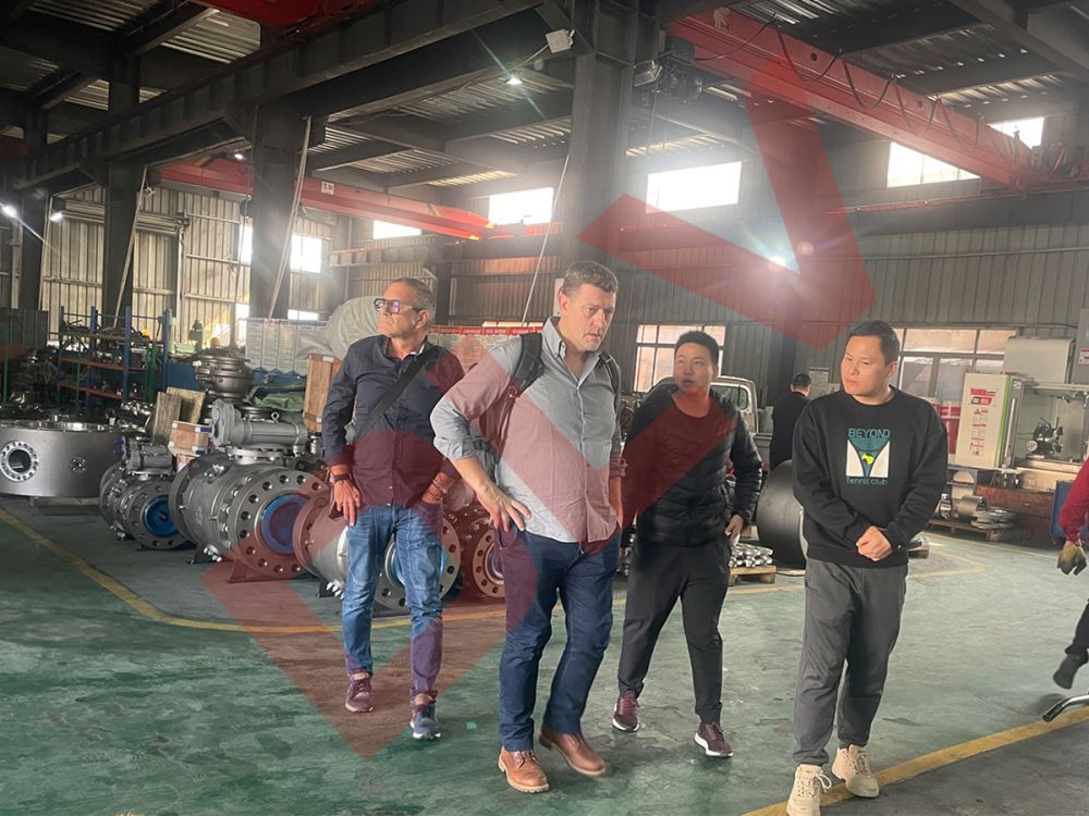 Customer inspection (2)g6n
