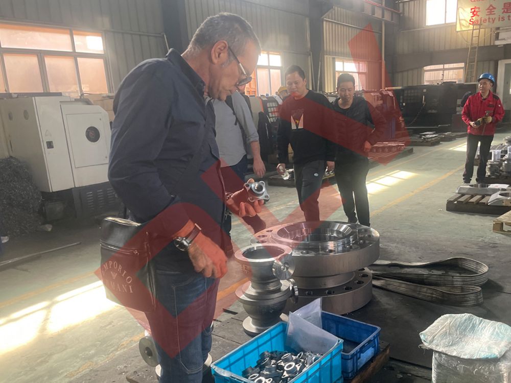 Customer inspection (5)ngk