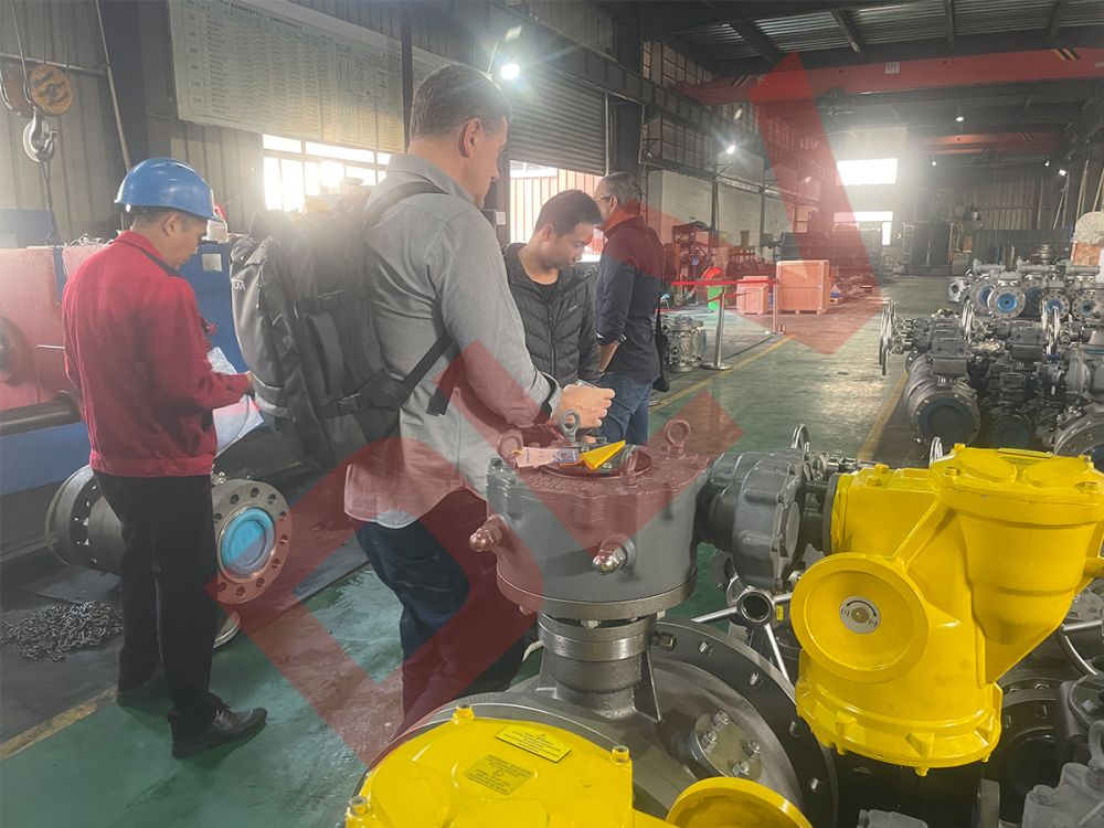 Customer inspection (6)lt2