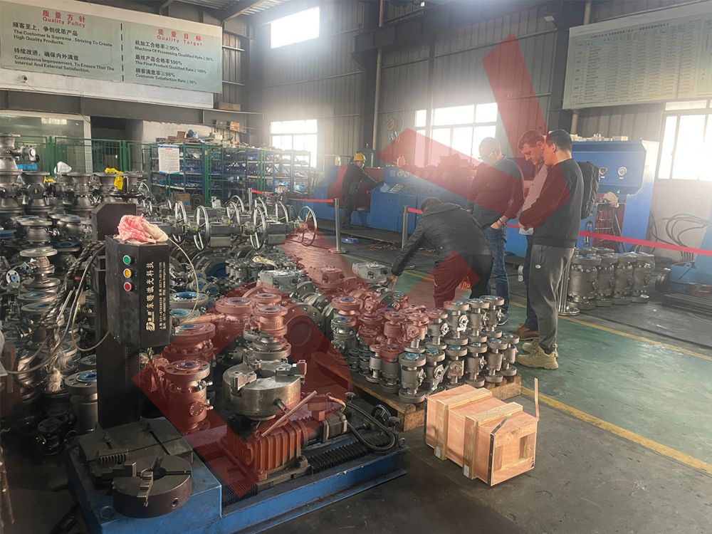 Customer inspection (9)qmv