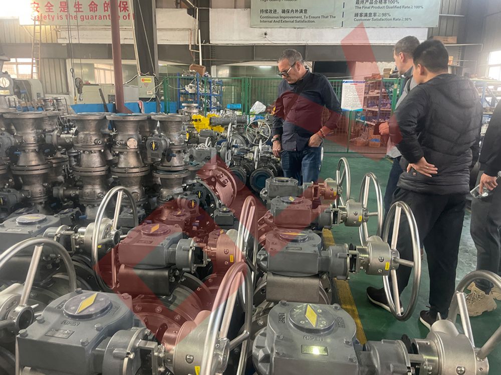 Customer inspection (10)4l6