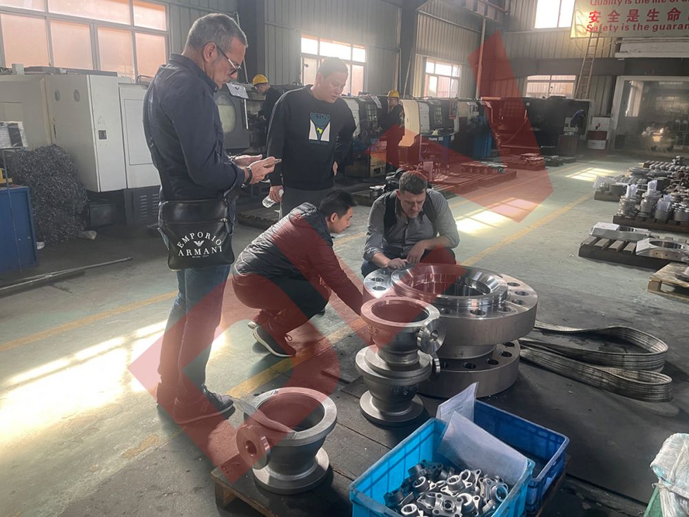 Customer inspection (11)maa