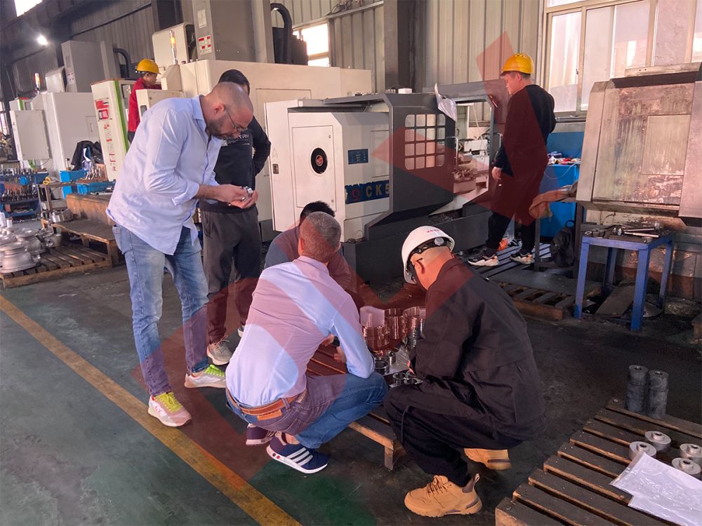 Customer inspection (12)eip