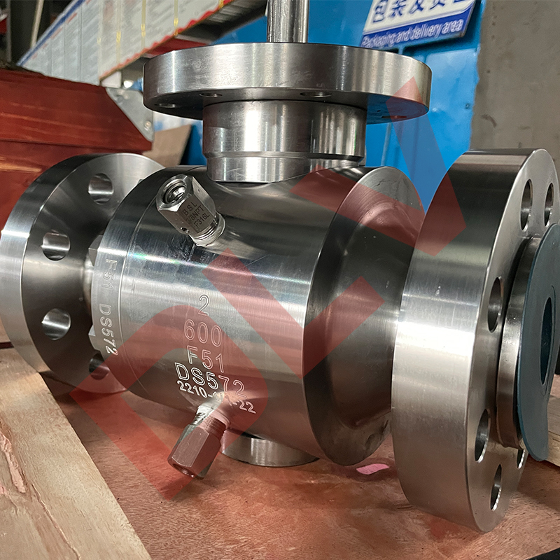 Stainless steel fixed ball valves (3)qoa