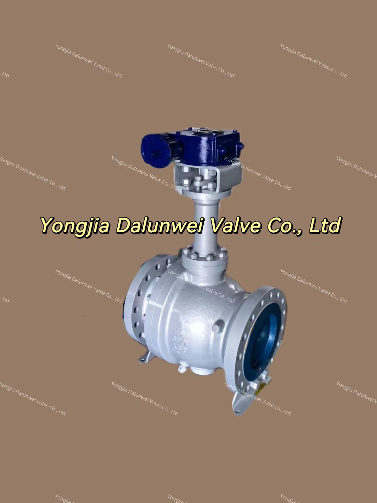 The cryogenic fixed ball valve with Extension stem