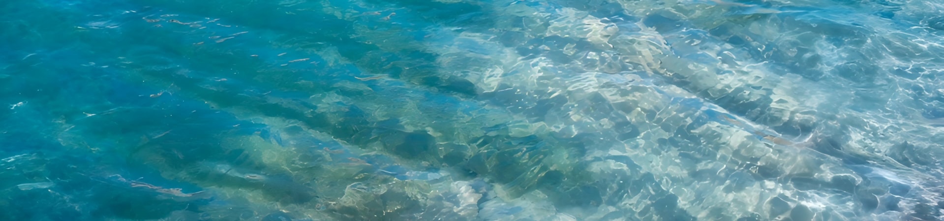 aboutbanner