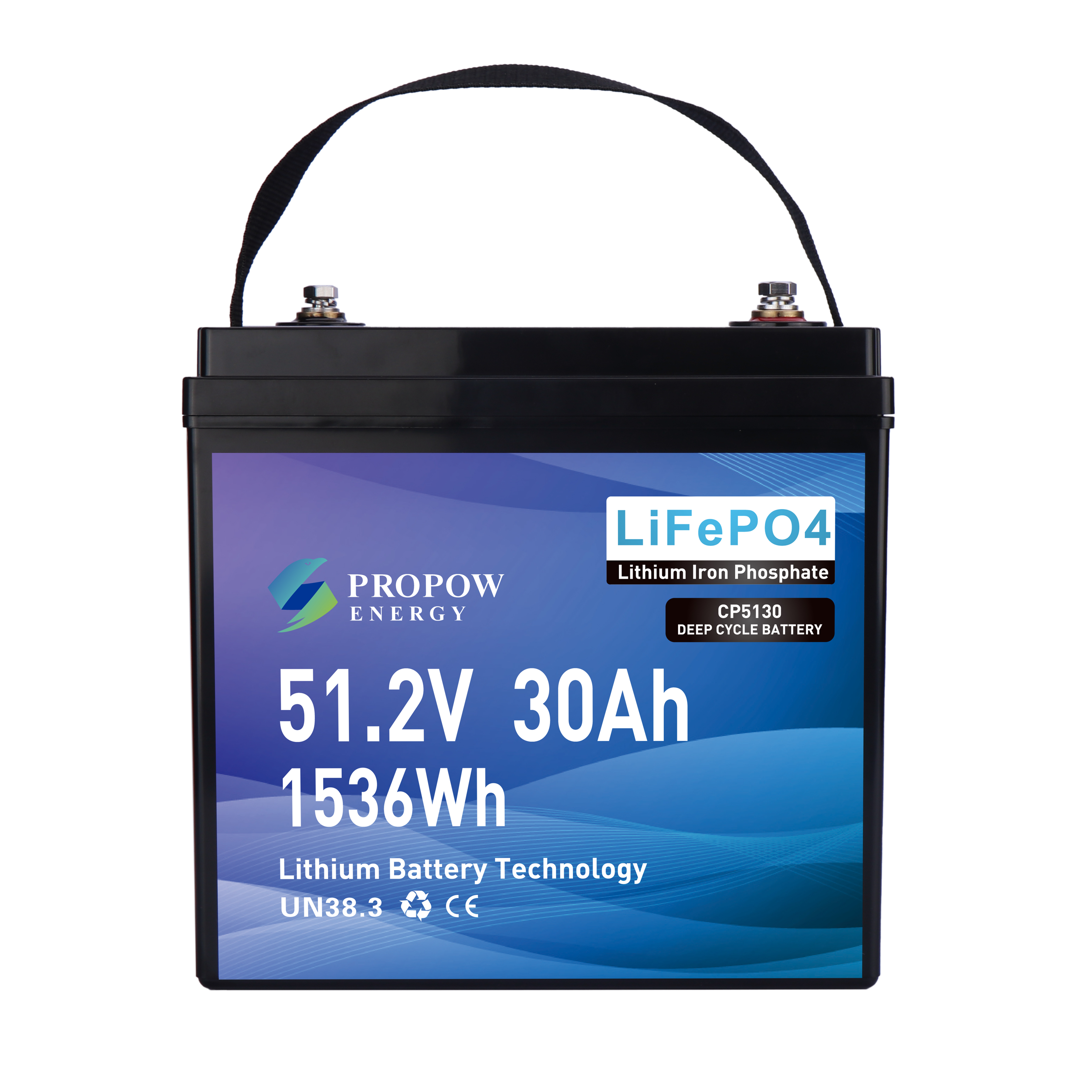 Lithium LiFePO4 48V 30Ah Lawn Mower Battery