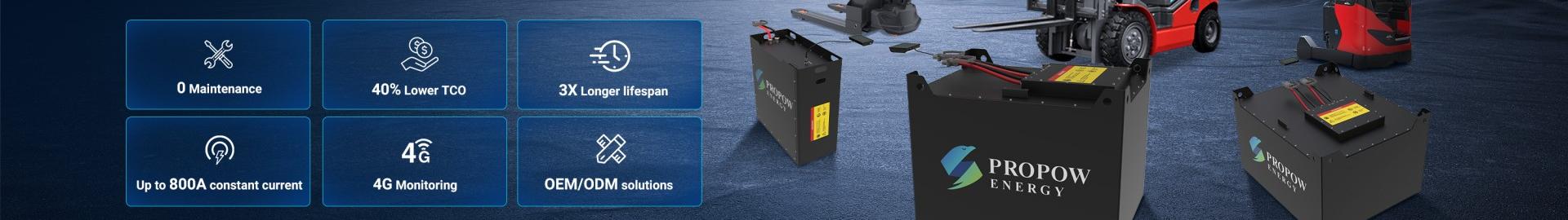 Off Highway Vehicle Battery