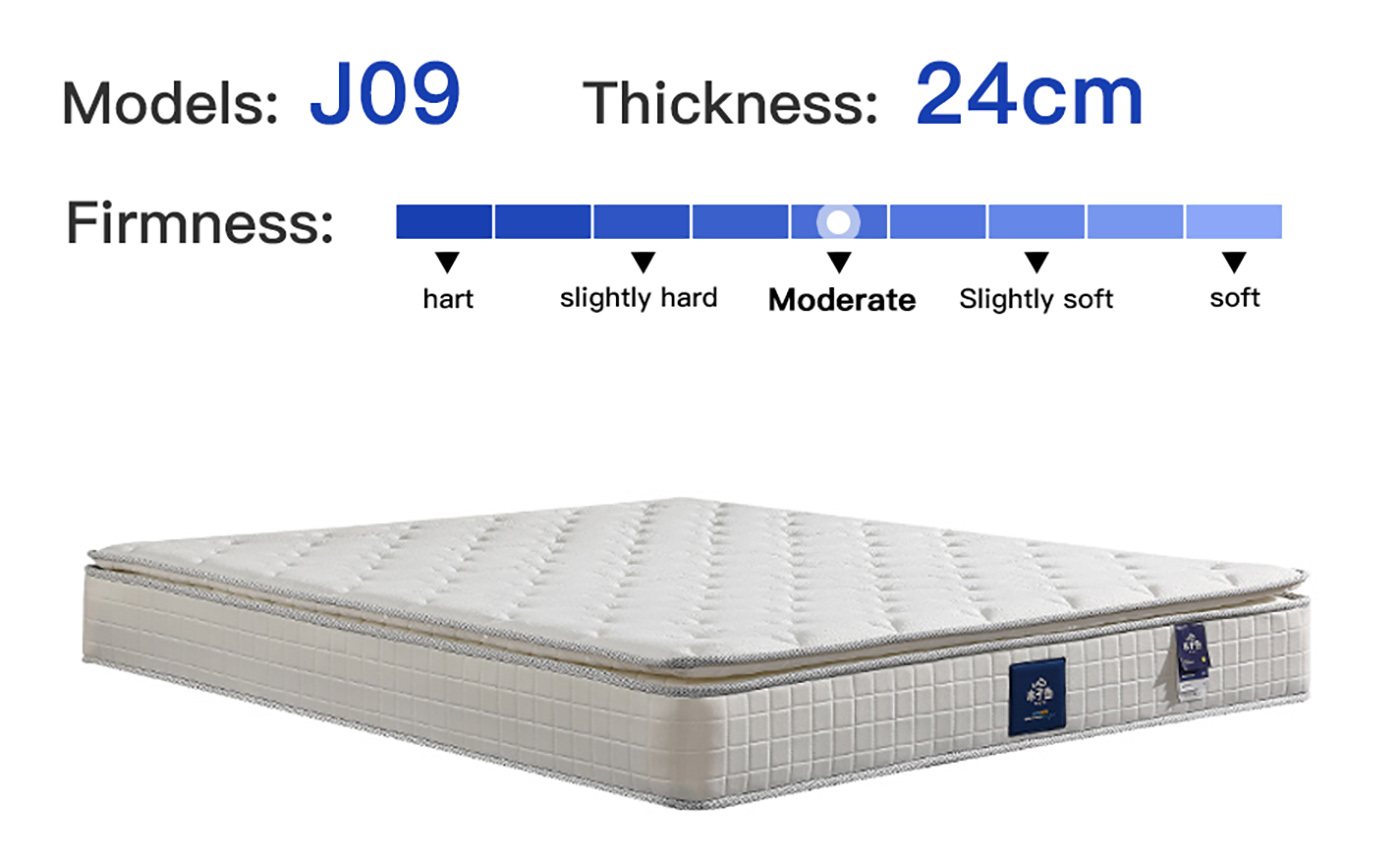 Mattress In A Box Memory Foam Pocket Spring Latex Bed (2)4vc